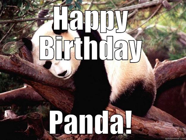 Happy Birthday! - HAPPY BIRTHDAY PANDA! Procrastination Panda