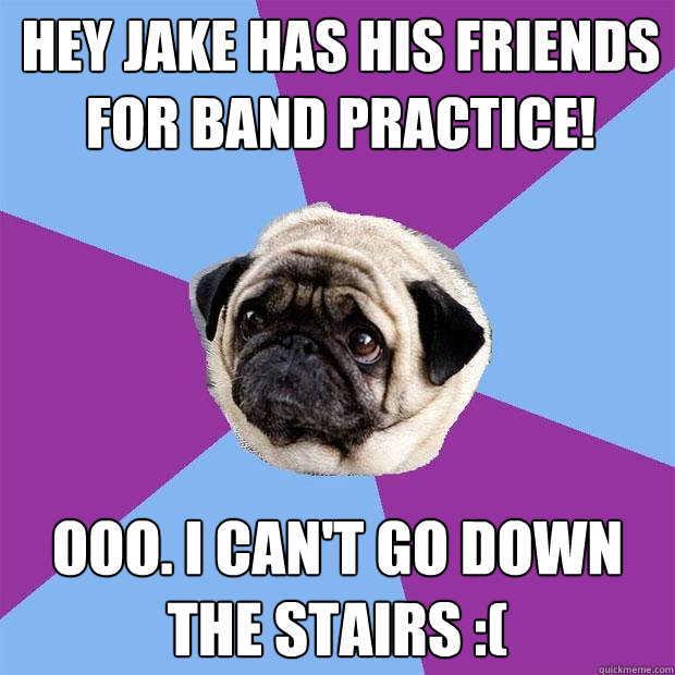 Hey Jake has his friends for band practice! Ooo. I can't go down the stairs :(  Lonely Pug