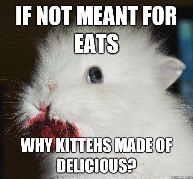 If not meant for eats Why kittehs made of delicious? - If not meant for eats Why kittehs made of delicious?  Murder Bunny