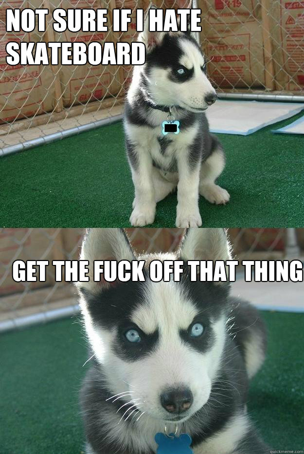 not sure If I hate skateboard get the fuck off that thing  Insanity puppy