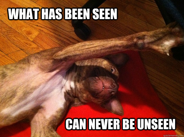What has been seen can never be unseen - What has been seen can never be unseen  Do Not Want Dog