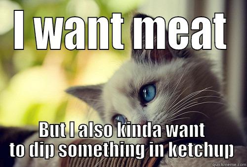 I WANT MEAT BUT I ALSO KINDA WANT TO DIP SOMETHING IN KETCHUP First World Cat Problems