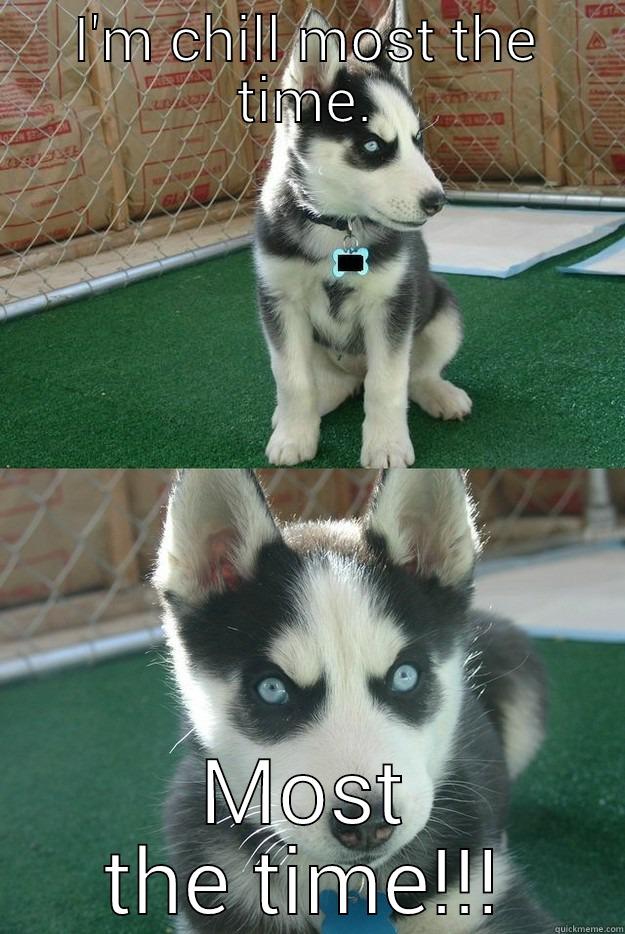 I'm chill! - I'M CHILL MOST THE TIME. MOST THE TIME!!! Insanity puppy