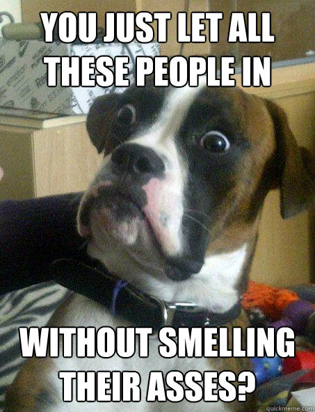 You just let all these people in Without smelling their asses? - You just let all these people in Without smelling their asses?  Baffled boxer