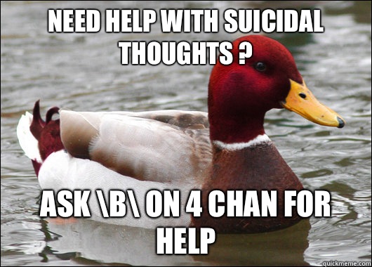 Need help with suicidal thoughts ? Ask \b\ on 4 chan for help   Malicious Advice Mallard