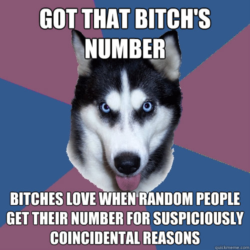 got that bitch's number bitches love when random people get their number for suspiciously coincidental reasons  Creeper Canine