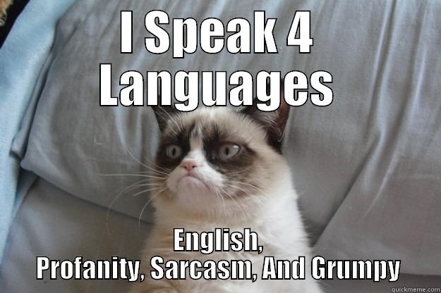 4 Language - I SPEAK 4 LANGUAGES ENGLISH, PROFANITY, SARCASM, AND GRUMPY Grumpy Cat