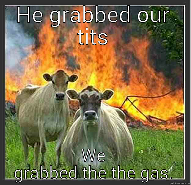 HE GRABBED OUR TITS WE GRABBED THE THE GAS. Evil cows