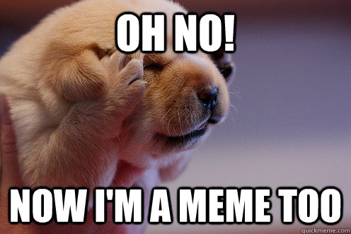 Oh no! Now I'm a meme too - Oh no! Now I'm a meme too  Oh No Dog