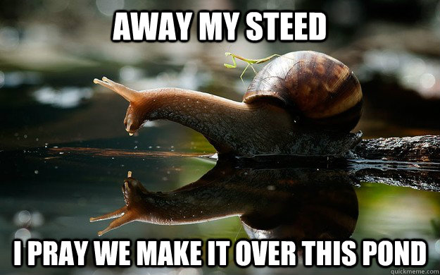 Away my steed I pray we make it over this pond  