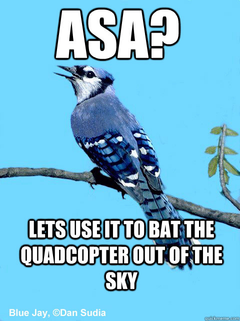 ASA? Lets use it to bat the quadcopter out of the sky - ASA? Lets use it to bat the quadcopter out of the sky  Blue Team Bird