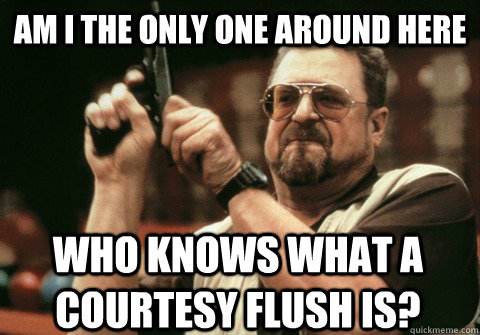 Am I the only one around here who knows what a courtesy flush is? - Am I the only one around here who knows what a courtesy flush is?  Am I the only one