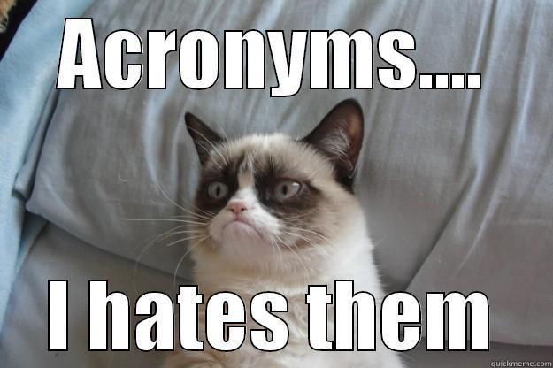 ACRONYMS.... I HATES THEM Grumpy Cat