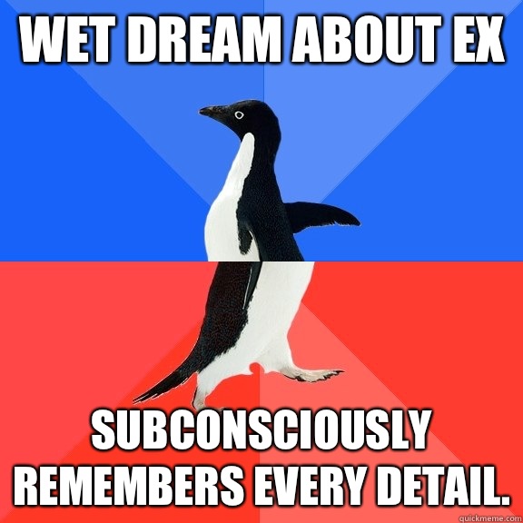 Wet dream about ex Subconsciously remembers every detail.  Socially Awkward Awesome Penguin