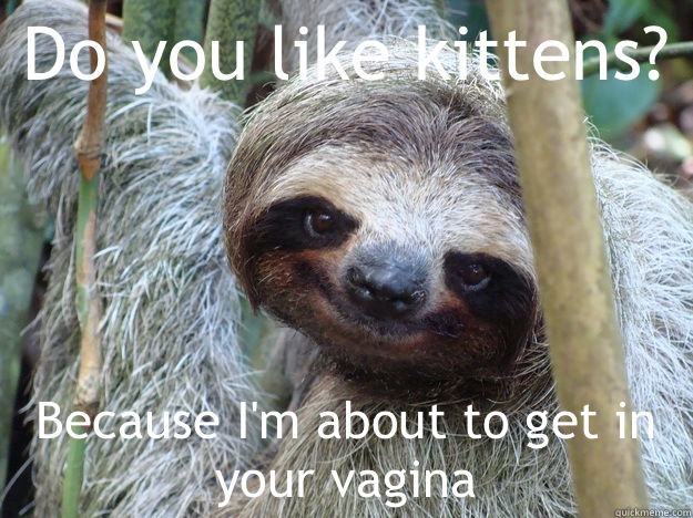 Do you like kittens? Because I'm about to get in your vagina - Do you like kittens? Because I'm about to get in your vagina  Pickup-Line-Sloth