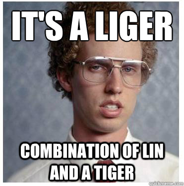 It's a LIGER
 Combination of Lin and a Tiger - It's a LIGER
 Combination of Lin and a Tiger  Napoleon dynamite