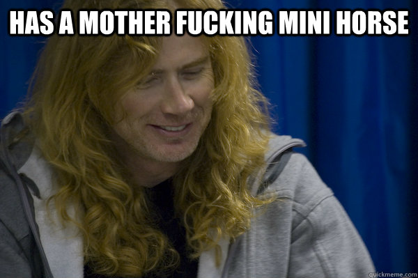 Has a mother fucking mini horse   Good guy metalhead
