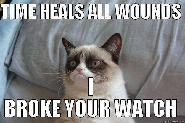 TIME HEALS ALL WOUNDS  I BROKE YOUR WATCH Grumpy Cat