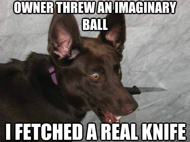 Owner threw an imaginary ball I fetched a real knife  