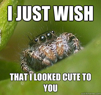 I just wish that I looked cute to you  Misunderstood Spider