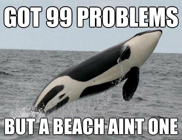 got 99 problems but a beach aint one  
