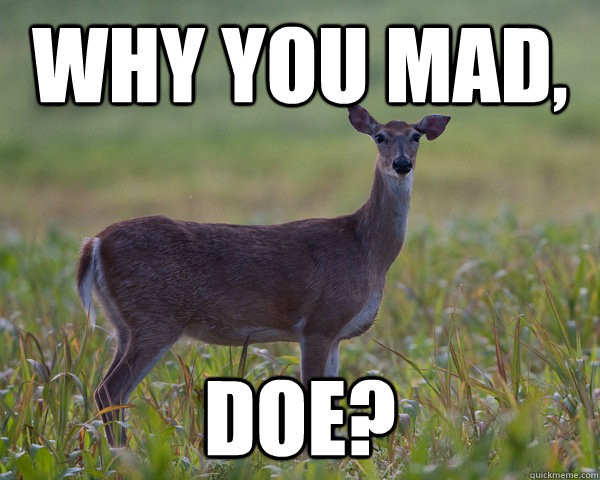 Why you mad, doe?  Why you mad doe