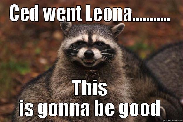 CED WENT LEONA........... THIS IS GONNA BE GOOD Evil Plotting Raccoon