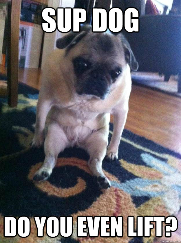 Sup Dog Do you even lift? - Sup Dog Do you even lift?  Buff puppy
