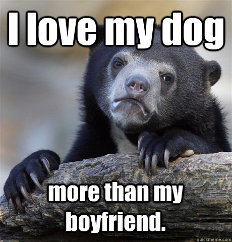 I love my dog more than my boyfriend.  Confession Bear
