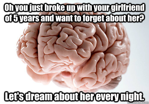 Oh you just broke up with your girlfriend  of 5 years and want to forget about her? Let's dream about her every night.   Scumbag Brain