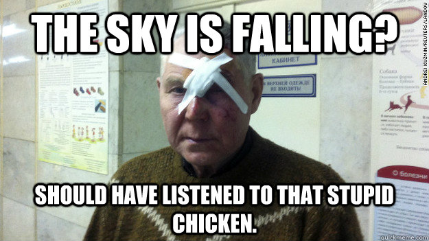 The sky is falling? Should have listened to that stupid chicken.  