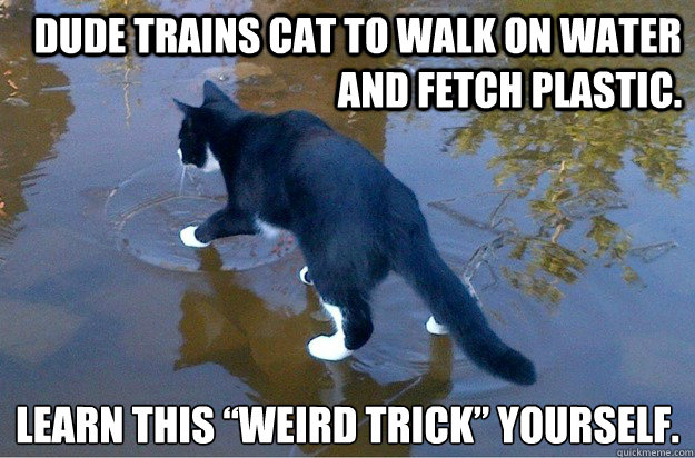 Dude trains cat to walk on water and fetch plastic.  Learn this “Weird Trick” Yourself.  Jesus Cat