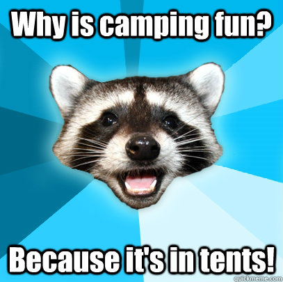 Why is camping fun? Because it's in tents!  Lame Pun Coon