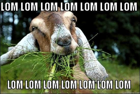 LOM LOM LOM LOM LOM LOM LOM  LOM LOM LOM LOM LOM LOM LOM Misc