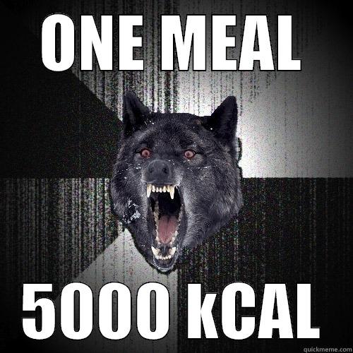 ONE MEAL 5000 KCAL Insanity Wolf