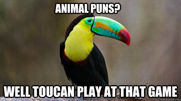 Animal puns?  Well toucan play at that game - Animal puns?  Well toucan play at that game  Sassy Toucan