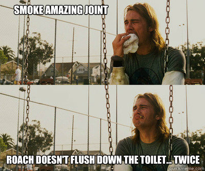 Smoke amazing joint Roach doesn't flush down the toilet... Twice  First World Stoner Problems