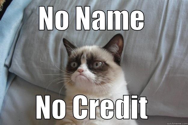 NO NAME NO CREDIT Grumpy Cat