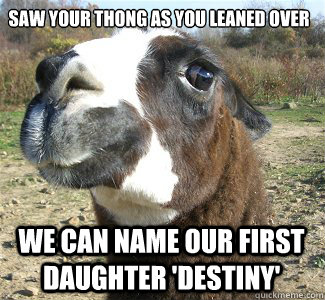 saw your thong as you leaned over we can name our first daughter 'destiny' - saw your thong as you leaned over we can name our first daughter 'destiny'  Drama Llama