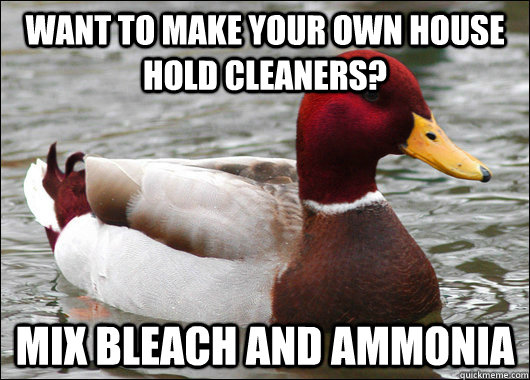 Want to make your own house hold cleaners? mix bleach and ammonia  Malicious Advice Mallard