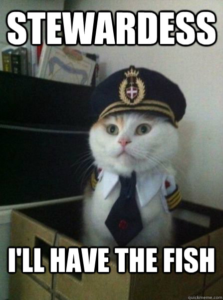 STEWARDESS I'll have the fish - STEWARDESS I'll have the fish  Important Message from Captain Cat