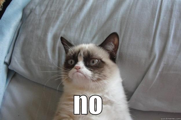  NO Grumpy Cat