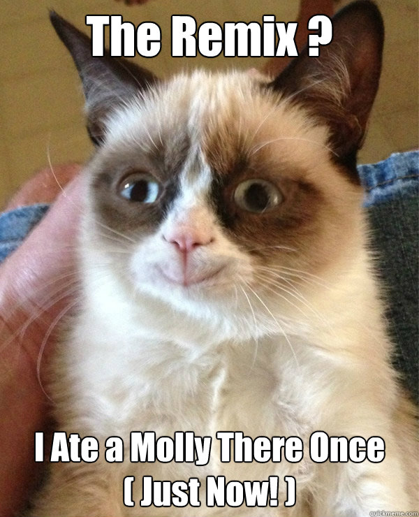 The Remix ? I Ate a Molly There Once
( Just Now! ) - The Remix ? I Ate a Molly There Once
( Just Now! )  Grumpycat the happy