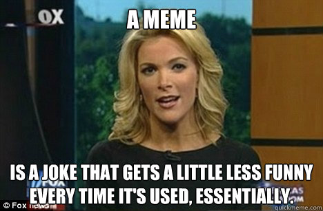 a meme is a joke that gets a little less funny every time it's used, essentially.  Megyn Kelly