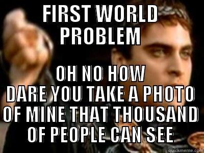 FIRST WORLD PROBLEM OH NO HOW DARE YOU TAKE A PHOTO OF MINE THAT THOUSAND OF PEOPLE CAN SEE Downvoting Roman