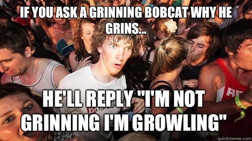 If you ask a grinning bobcat why he grins... He'll reply 