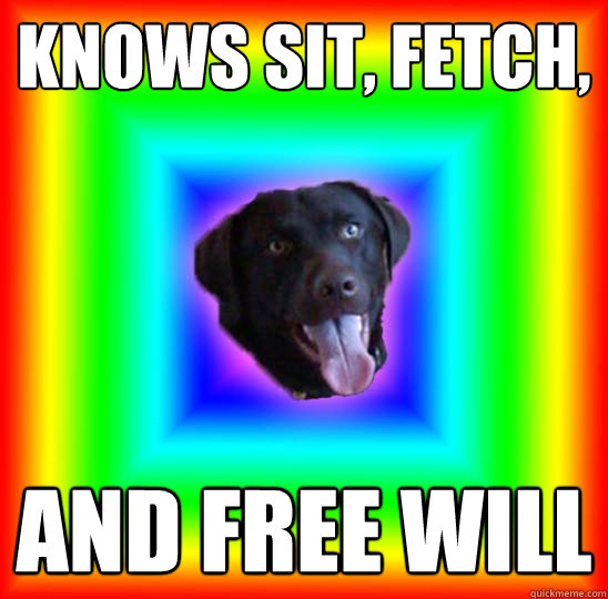 Knows sit, fetch,  and free will  