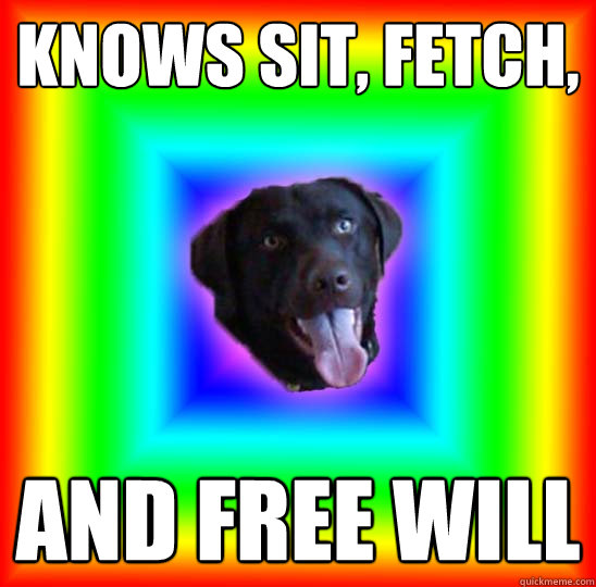 Knows sit, fetch,  and free will  Bad Dog