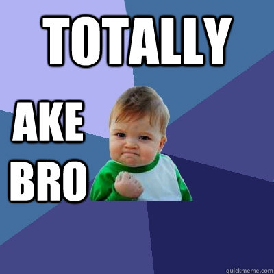 Totally ake bro  Success Kid