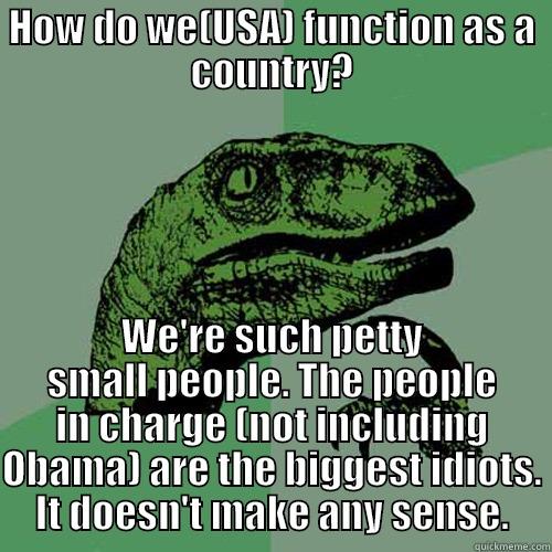 HOW DO WE(USA) FUNCTION AS A COUNTRY? WE'RE SUCH PETTY SMALL PEOPLE. THE PEOPLE IN CHARGE (NOT INCLUDING OBAMA) ARE THE BIGGEST IDIOTS. IT DOESN'T MAKE ANY SENSE. Philosoraptor